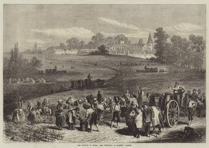A Vintage Medocban, a Chateau Lafitte szőlőültetvényei
